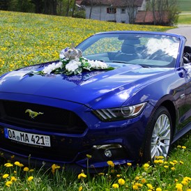 Hochzeitsauto: yellowhummer Ford Mustang GT 