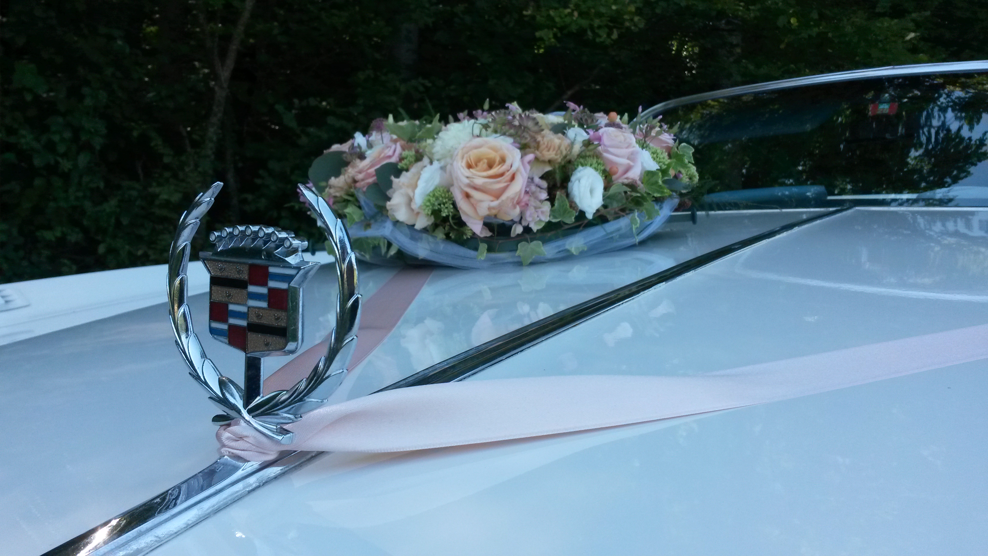 Hochzeitsauto: ....Cadillac Eldorado....       ....Cabrio !!!            Unvergessliche Momente !!!