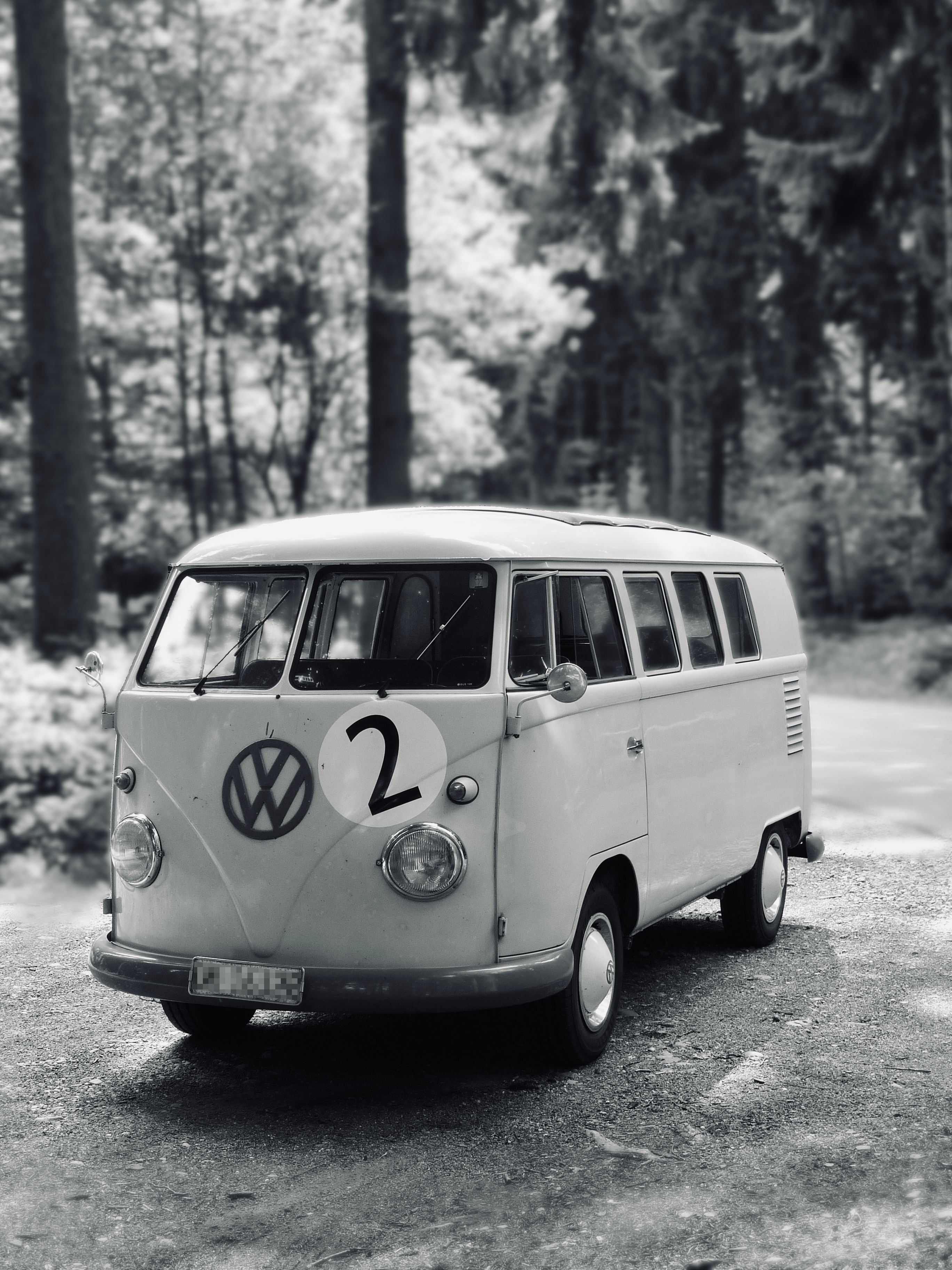 Hochzeitsauto: VW T1 im Wald - VW-Busse T1 & T2, Photobus, Hochzeitsauto (vwbusbern.ch)