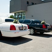 Hochzeitsauto - Lincoln Town Car von Amadeus Limousines
