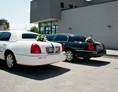 Hochzeitsauto: Amadeus Limousines - Ihre Hochzeitslimousinen! - Lincoln Town Car von Amadeus Limousines