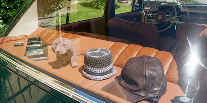 Hochzeitsauto-Vermietung - Marke: Mercedes Benz - Oberösterreich - Mercedes 250SE W108 (S-Klasse)