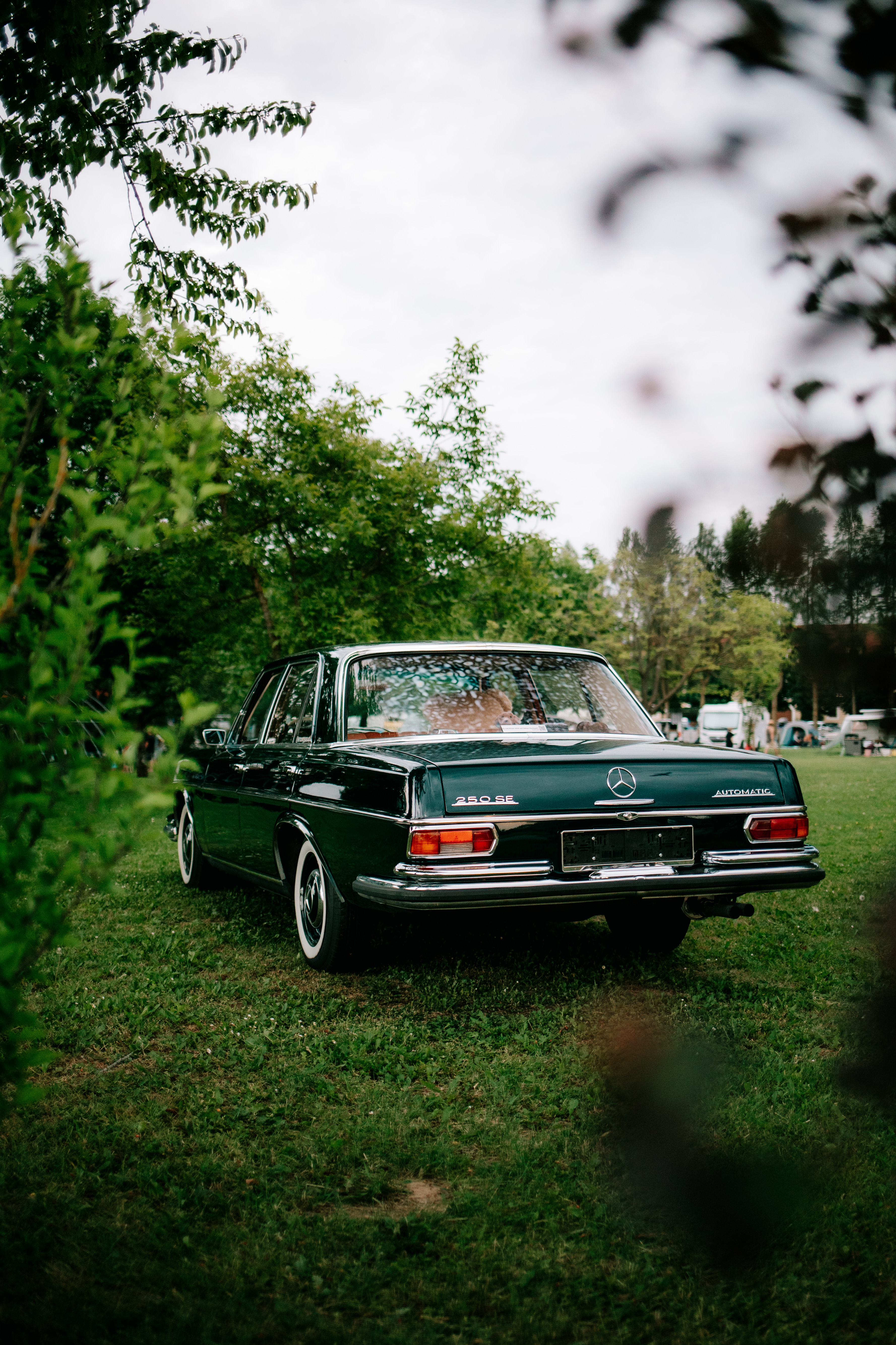 Hochzeitsauto: Mercedes 250SE W108 (S-Klasse)