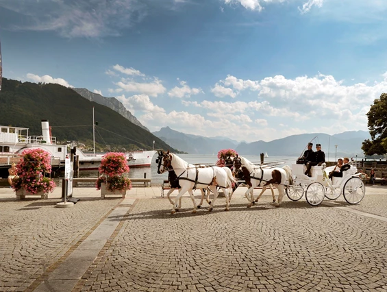 Hochzeitsauto: Viktoria Kutsche - Die Salzkammerkutscher