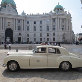 Hochzeitsauto: Rolls Royce Silver Cloud I in der Wiener Innenstadt. - Rolls Royce Silver Cloud I - Dr. Barnea