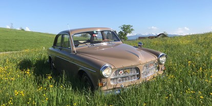 Hochzeitsauto-Vermietung - Marke: Volvo - Schweiz - Amazone