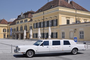 Hochzeitsauto: Lincoln von Vienna Limousine Service - KLEIN & CO