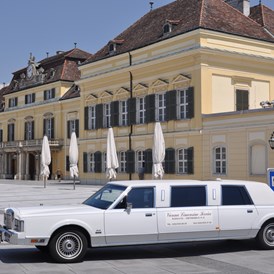 Hochzeitsauto: Lincoln von Vienna Limousine Service - KLEIN & CO