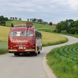 Hochzeitsauto: Die Landschaft bereisen. Foto © justmarried.cc - Mercedes Benz O 321 H & O 321 HL von Messinger Reisen
