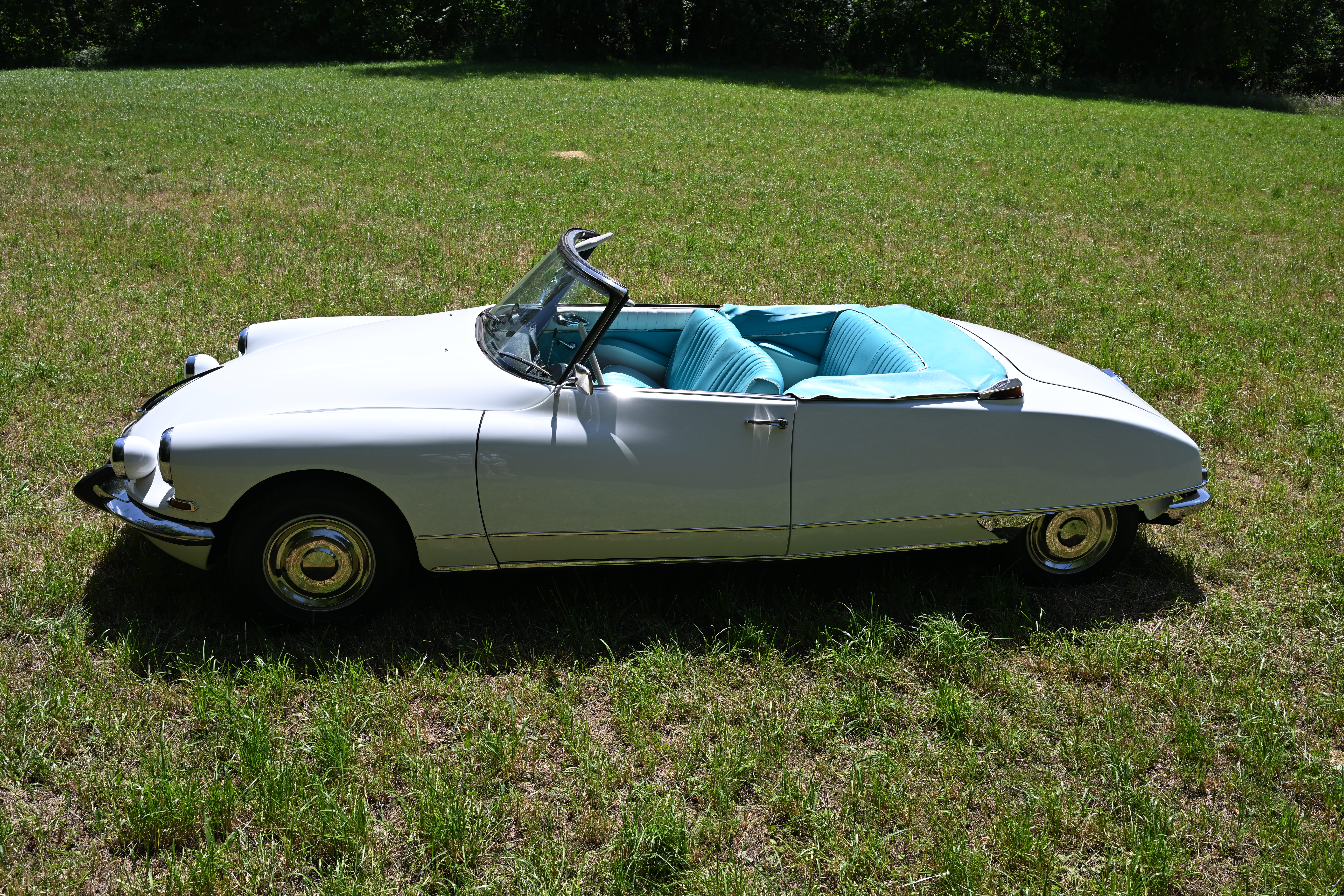 Hochzeitsauto: Traumcabrio Citroen DS - Außenansicht