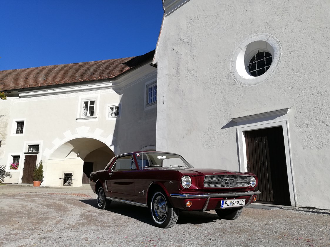 Hochzeitsauto: Ford Mustang 1965 - www.Brautauto.at