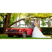 Hochzeitsauto - Hochzeitsauto mieten in Köln  - Ford Mustang mieten