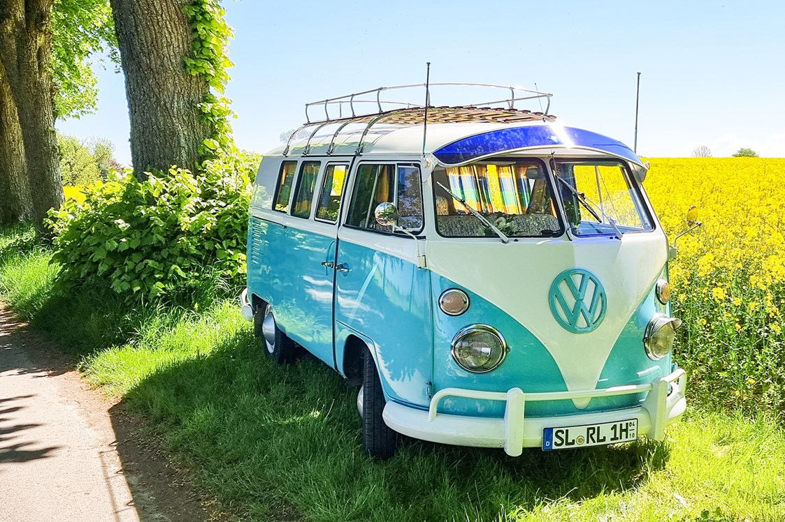 VW T1 Bulli mieten  Hochzeitsauto in Schleswig-Holstein