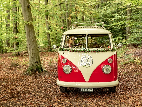 Hochzeitsauto: Bulli Front - Hochzeitsbus-Bern
