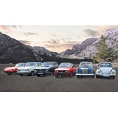 Hochzeitsauto - Tolle OIdtimer Hochzeitsautos mieten am Bodensee