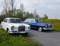 Hochzeitsauto: Die Mercedes "Heckflosse" vermieten wir in blau und weiß am Bodensee und im Allgäu. - Tolle OIdtimer Hochzeitsautos mieten am Bodensee