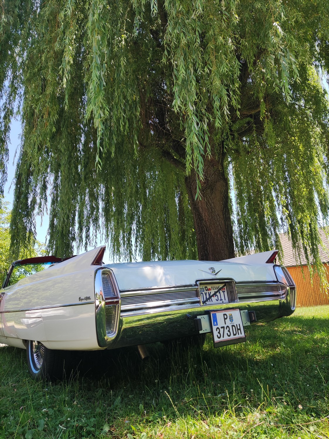 Hochzeitsauto: Cadillac Convertible 1964 - www.Brautauto.at