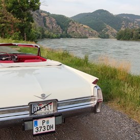 Hochzeitsauto: Cadillac Convertible 1964 - www.Brautauto.at