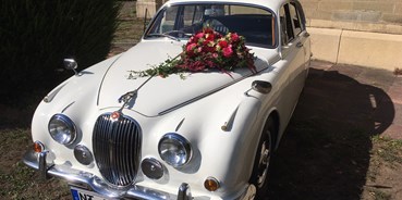 Hochzeitsauto-Vermietung - Marke: Jaguar - Jaguar MK 2 / 340 mit Faltdach