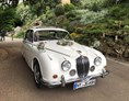Hochzeitsauto: Jaguar MK 2 / 340 mit Faltdach