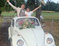 Hochzeitsauto: Für jedes Paar das Richtige  - VW-Käfer 1967 Palomena und VW-Käfer 1970