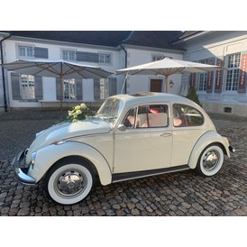 Hochzeitsauto: Festlich auch auf Schlössern  - VW-Käfer 1967 Palomena und VW-Käfer 1970