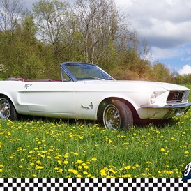 Hochzeitsauto: 1967er Mustang Cabrio