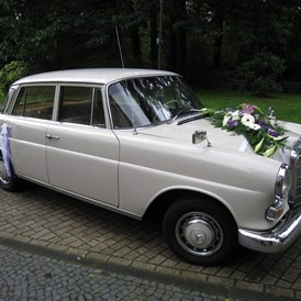 Hochzeitsauto: Mercedes "Heckflosse" 200 / Modell W110 in Creme, BJ 1966.  - Mercedes Heckflosse 200 - Der Oldtimerfahrer
