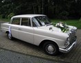 Hochzeitsauto: Mercedes "Heckflosse" 200 / Modell W110 in Creme, BJ 1966.  - Mercedes Heckflosse 200 - Der Oldtimerfahrer