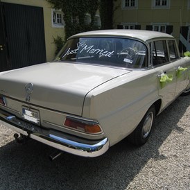Hochzeitsauto: Heckansicht des Mercedes "Heckflosse" 200 - Mercedes Heckflosse 200 - Der Oldtimerfahrer