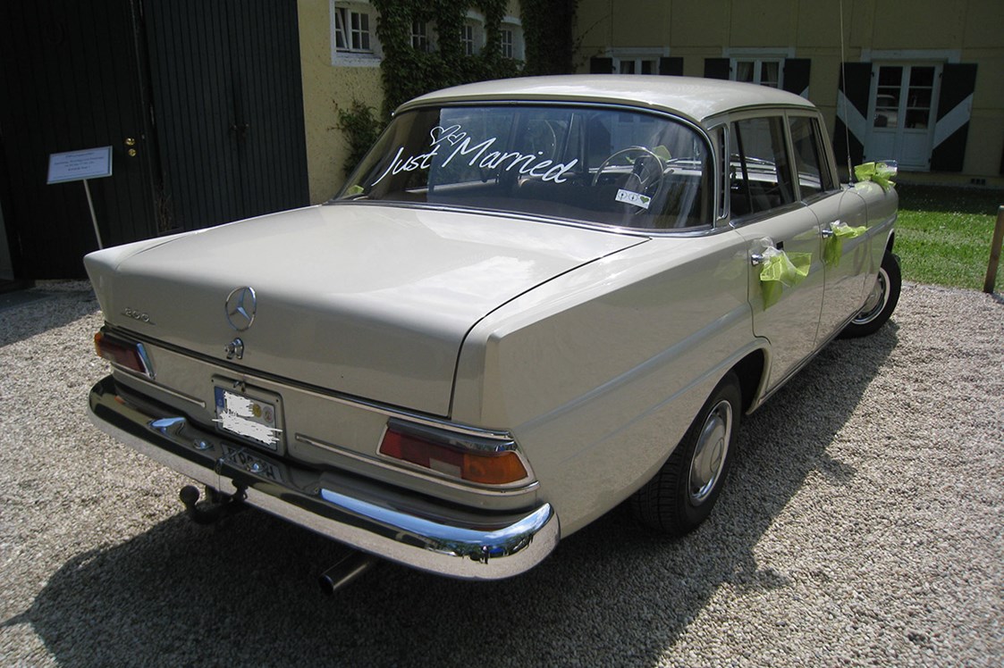 Hochzeitsauto: Heckansicht des Mercedes "Heckflosse" 200 - Mercedes Heckflosse 200 - Der Oldtimerfahrer