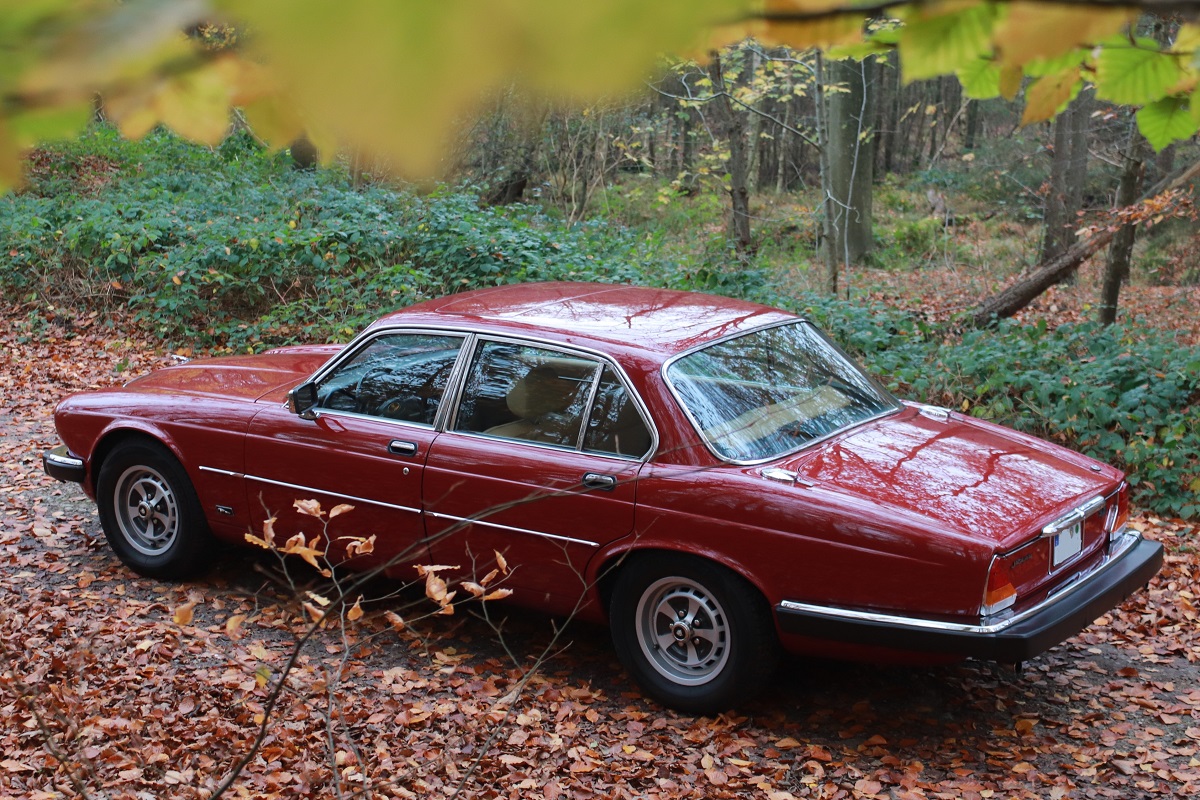 Hochzeitsauto-Vermietung - Chauffeur: Chauffeur buchbar - Jaguar XJ6 Limousine