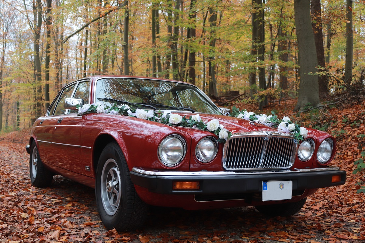 Hochzeitsauto: Jaguar XJ6 Limousine