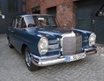 Hochzeitsauto: 1963er Mercedes 220 Sb Leder - rentmyoldie