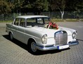 Hochzeitsauto: Das Fahrzeug - Oldtimer Fahrdienst