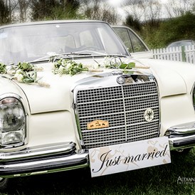 Hochzeitsauto: Mercedes W108 von Ihre Traumfahrt