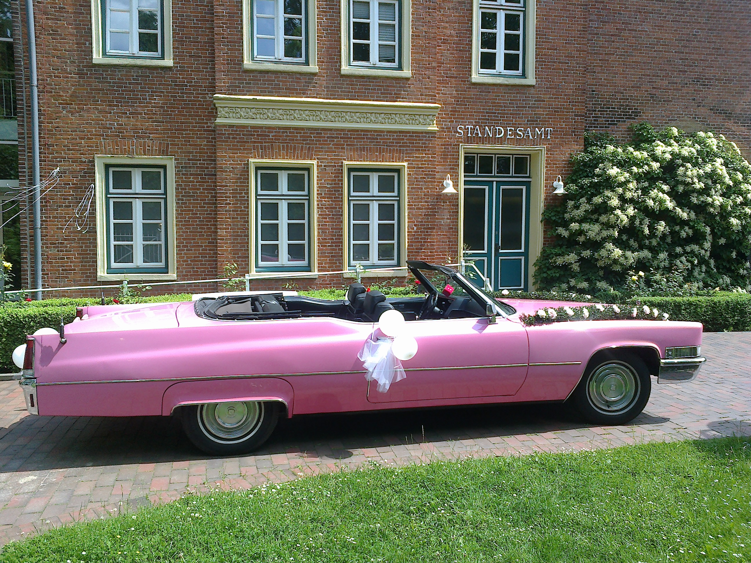 Hochzeitsauto-Vermietung - Trittau - Pink Cadillac Cabrio 1969