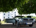 Hochzeitsauto: Ford Mustang 1965