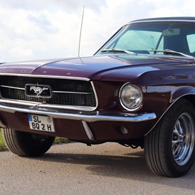 Hochzeitsauto: Ford Mustang 1967