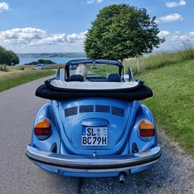 Hochzeitsauto: VW Käfer Cabrio