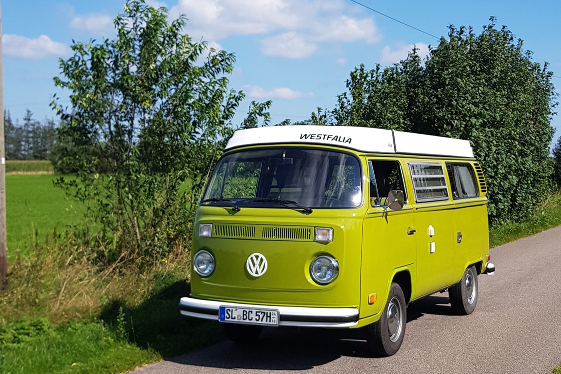 VW Bulli T2b mieten  Hochzeitsauto in Schleswig-Holstein