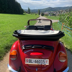 Hochzeitsauto: Auch mit Chauffeur buchbar - VW Käfer Cabriolet rot