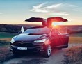 Hochzeitsauto: Model X bei Sonnenuntergang - Tesla Model X mit einzigartigen Flügeltüren in Spacegry 