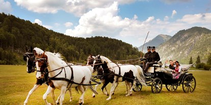Hochzeitsauto-Vermietung - Art des Fahrzeugs: Kutsche - Scharnstein - Vis a Vis Kutsche - Die Salzkammerkutscher