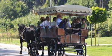 Hochzeitsauto-Vermietung - Art des Fahrzeugs: Kutsche - Österreich - Gesellschaftswagen - Die Salzkammerkutscher