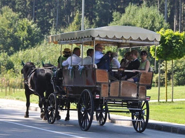 Hochzeitsauto: Gesellschaftswagen - Die Salzkammerkutscher