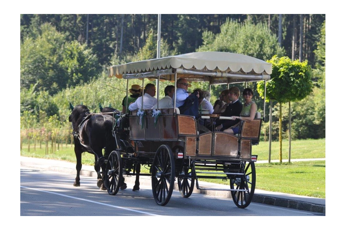 Hochzeitsauto: Gesellschaftswagen - Die Salzkammerkutscher