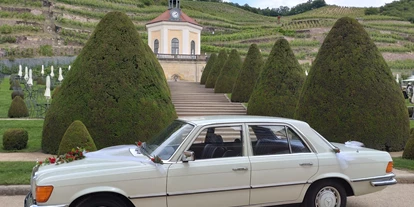 Hochzeitsauto-Vermietung - Shuttle Service - Wachau - Mercedes Benz S 280 SE   W116   in Dresden