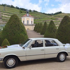 Hochzeitsauto: Mercedes Benz S 280 SE   W116   in Dresden
