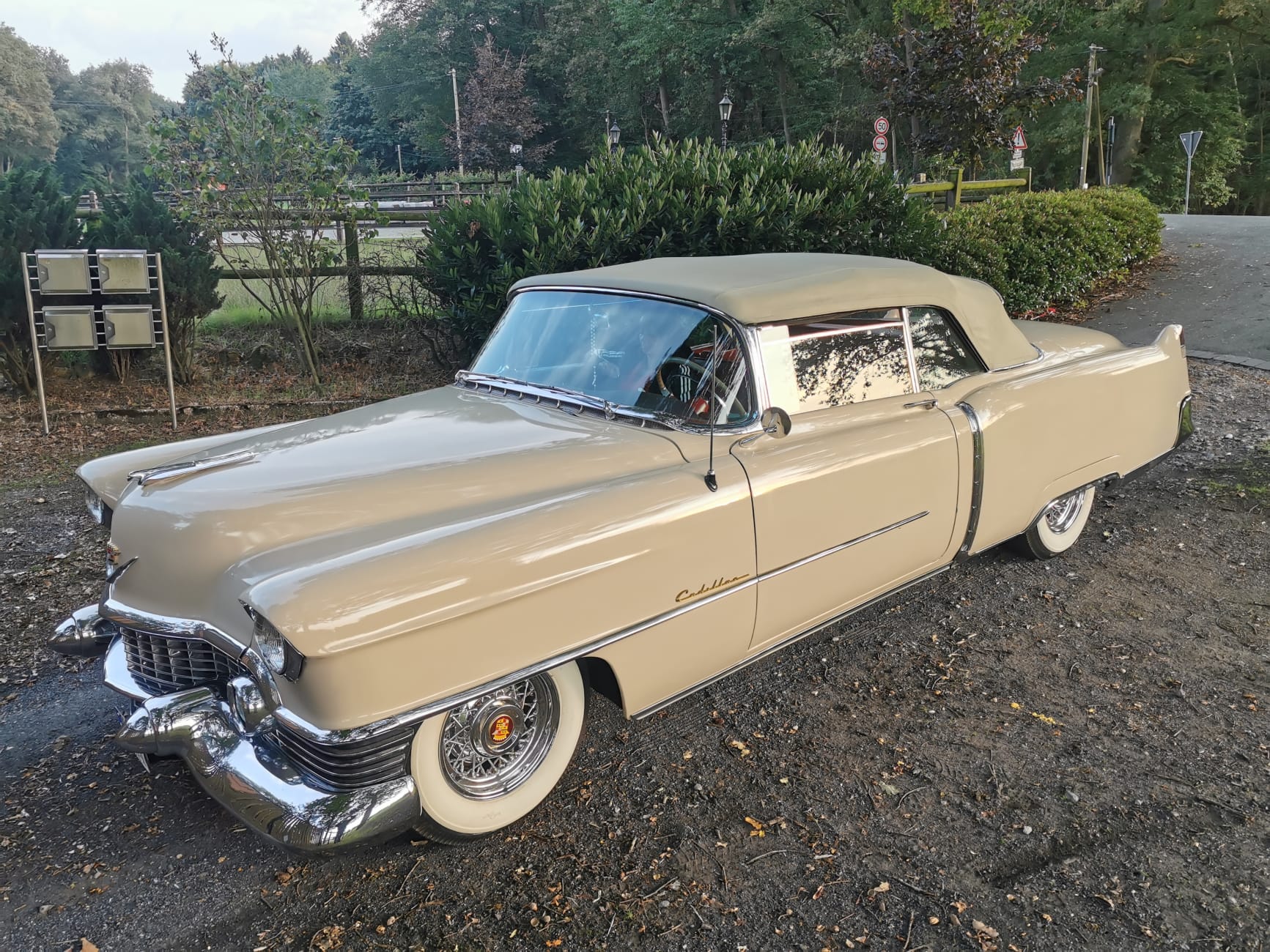 Hochzeitsauto-Vermietung - Nordrhein-Westfalen - Cadillac Eldorado Cabrio 1954